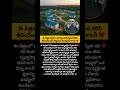 స్నేహం ప్రేమ కమ్యూనిటీ జీవనం ప్రకృతి ప్రశాంతత కలిసికట్టుగా జీవనం సహకారం ఆనందం