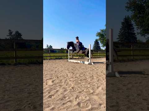 Intense Ride On My New Lease Horse