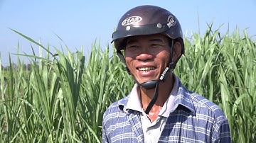 Mô hình tưới nước tiết kiệm thích ứng với BĐKH