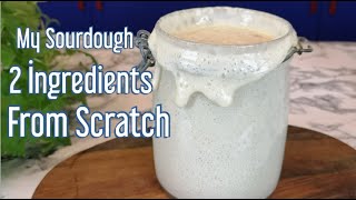 How To Make Sourdough Starter All The Basic