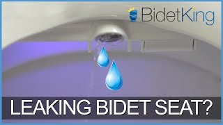 How to Troubleshoot a Leaking Bidet Seat | | BidetKing.com