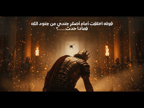سقوط الجب ار أمام ذبابة النهاية التي لم يتخيلها النمرود