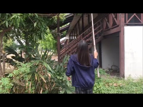 ผลสลากกินแบ่งรัฐบาล วันที่ 1 พย. 2567