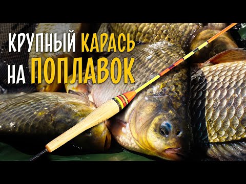 КРУПНЫЙ КАРАСЬ НА ПОПЛАВОК. Ловля с лодки в кувшинках с каналом Рыбацкие Будни