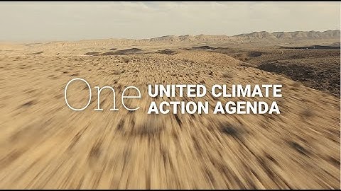 The future of Climate Action