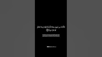 اكتب اي شيء تؤجر عليه | ياسر الدوسري قران | سورة مريم | كرومات قران كريم شاشة سوداء احاديث نبوية
