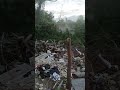 Momento destacado de transmisión en vivo