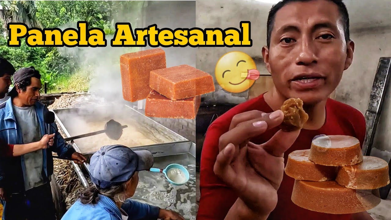 Desde la caña hasta la panela: tradición amazónica Ecuatoriana El Vloguero 