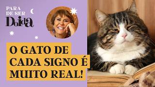 O gato de cada signo