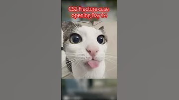 CS2 Fracture Case opening Day 14 #csgo #cs2case #cs2caseopeninng #cs2caseopening