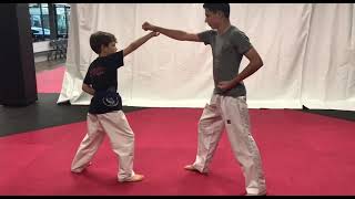 One step sparring #5 I Testing for Blue Belt