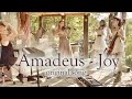 Amadeus Electric Quartet - JOY