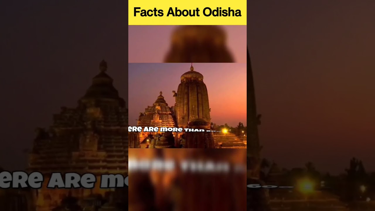 Facts about Odisha | Amazing facts in Odia | odisha gk | Factbook Odia 