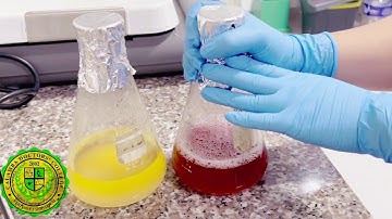 Culture Media Preparation