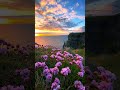 Dreamy Sunset Over the Cliffs 🌅🪻🪻🪻🪻✨Nature’s Most Beautiful Evening View 🌹Peaceful OceanSunset #🪻🪻.