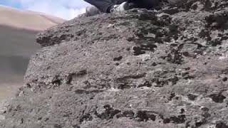 Hazar Müzik Ömer Eman Dılo Resimi