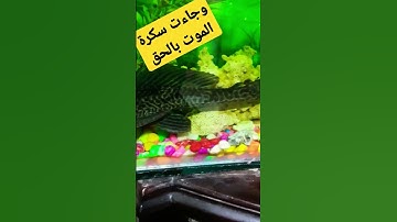 وجاءت سكرة الموت بالحق #تلاوات_الحَرَم 👌👌👌 #تلاوة_مؤثرة#تابعونا_لكي_يوصلكم_كل_جديد#اكسبلور