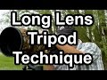 Long Lens Tripod Technique