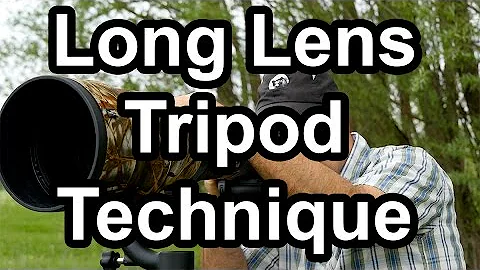 Long Lens Tripod Technique - DayDayNews