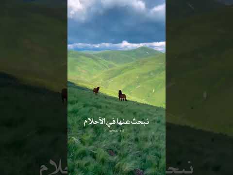 بين طواحين الايام نخفي أمانينا