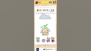 level 376 brain test