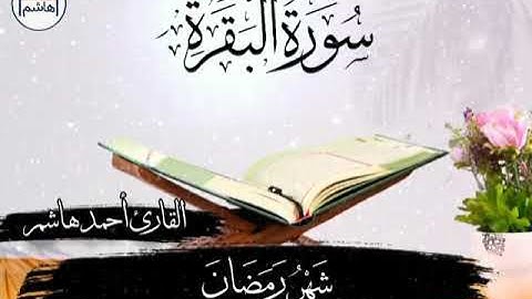 القارئ أحمد هاشم حالات واتس