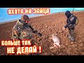 ЗАЯЦ в каждой ПАШНЕ! ОХОТА НА ЗАЙЦА. Декабрь.Hare hunting.#охотаназайцапочернотропу #охотаназайца