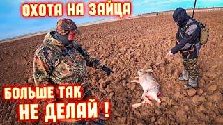 ЗАЯЦ в каждой ПАШНЕ! ОХОТА НА ЗАЙЦА. Декабрь.Hare hunting.#охотаназайцапочернотропу #охотаназайца