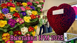 :       . IPM 2025