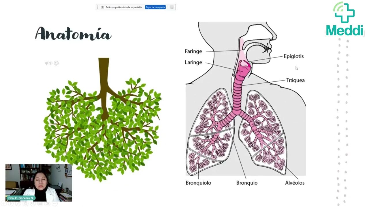 Infecciones Respiratorias: Causas, Prevención y Tratamiento