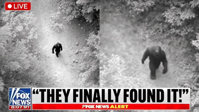 Bryce Johnson: "Our Drone Captured The Terrifying Truth We've Been  Chasing!" | Bigfoot Encounter - YouTube