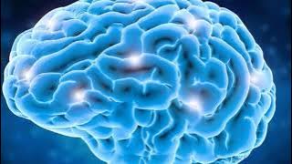 Alpha Music - Right Brain Stimulation for babies & Kids | Nalini Zinu