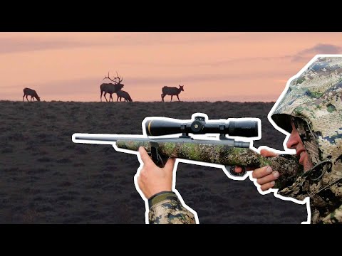 How to Select an Elk Hunting Cartridges - Bulls, Bullets & Ballistics with NOSLER