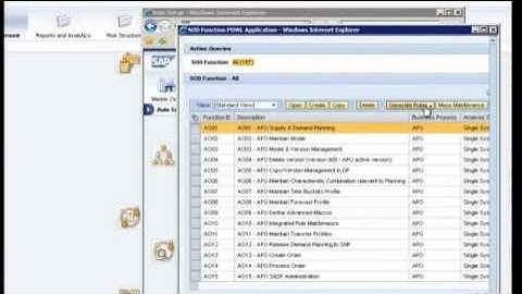 SAP GRC 10 Training Video