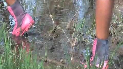 Gamma Lambda Chapter of AKA Spring 2009 Step Show Video