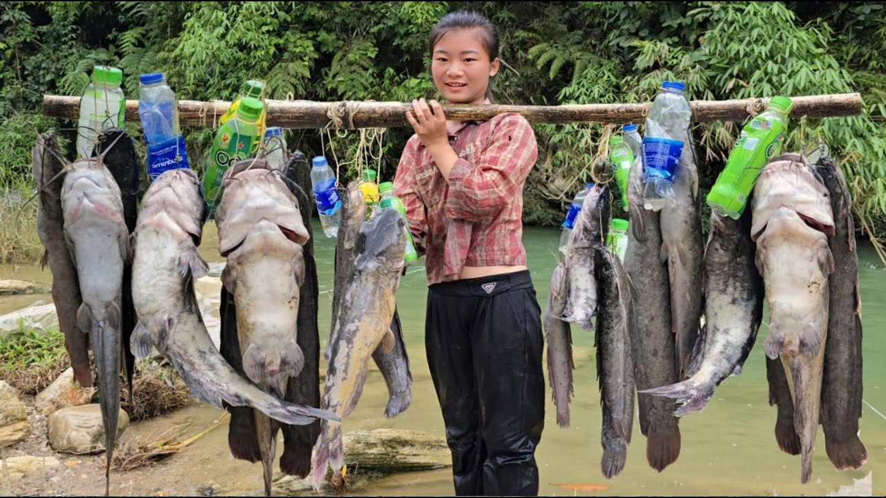 90-day video of a Vietnamese girl fishing for a living with two smart dogs - ha thi muon