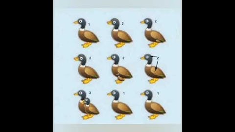 How many ducks are there?#shorts #puzzle #puzzlegame #picturepuzzle #picturegame #braingames