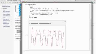 Animating Mathematically - How Snakes Get Their Stripes