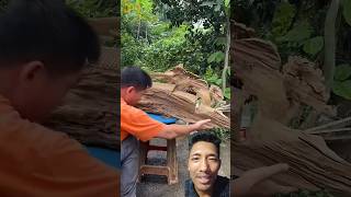 Wood Sculpting Art ✨ 😱 #woodart #art #craft #handmade #creative #shorts