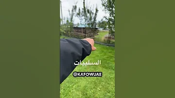 سلبيات الاكواخ والريف في زاكوباني السياحة في بولندا Krakow Warsaw Poland Zakopane Lodz بولندا 