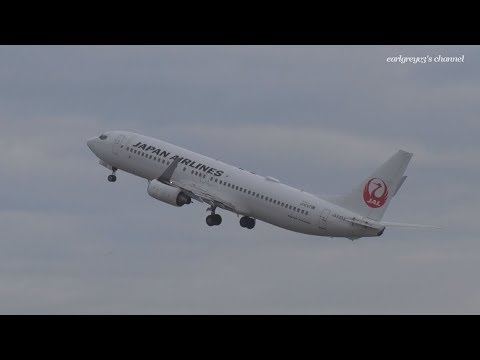 Japan Airlines (JAL) Boeing 737-800 JA330J 羽田空港 離陸 2018.11.24 @earlgreyv3