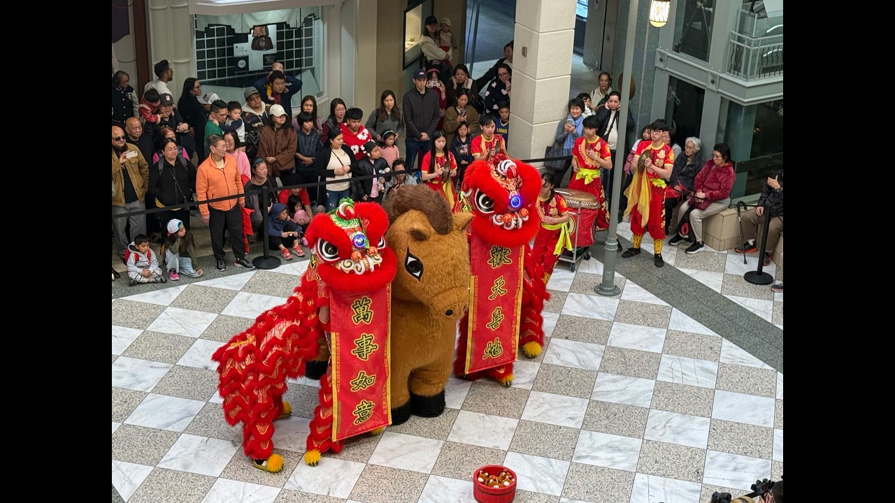 2026 Year of the Horse Event