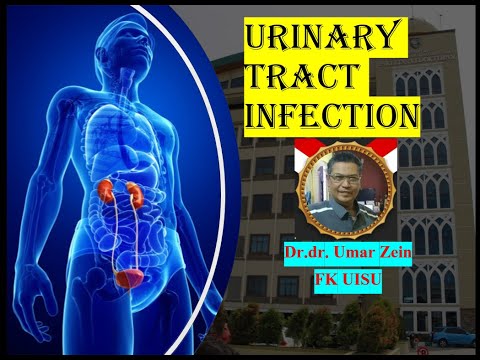 INFEKSI SALURAN KEMIH | Dr.dr. Umar Zein | FK UISU Medan