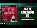 Karbala ka matam naye nohe  jalte khemon se  faisal rizvi audio  islamic music