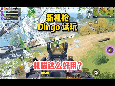 【使命召唤手游】新枪Dingo试玩，机瞄不错射速高，体验却差bug枪？#顺仙