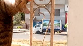 Société Prolainatfromages Or Blanc