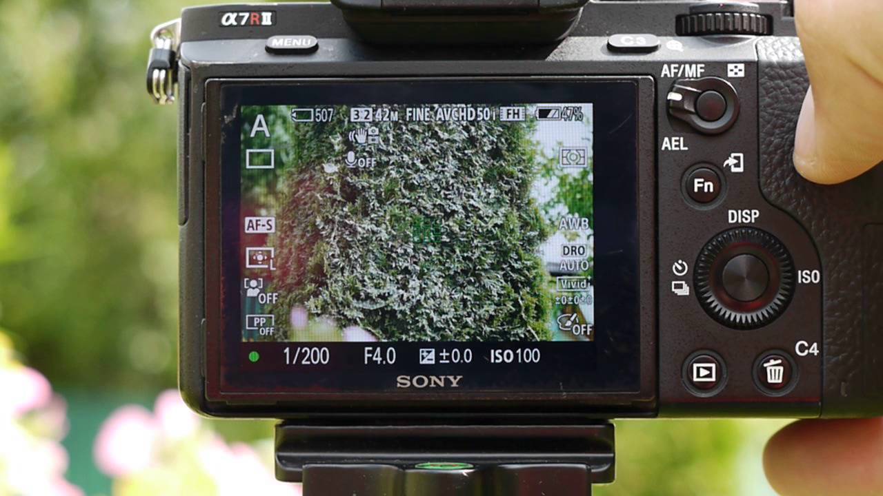 Sigma MC-11, Sony ILCE-7RM2, Canon EF 24-105mm f/4L IS USM. Тест автофокуса.