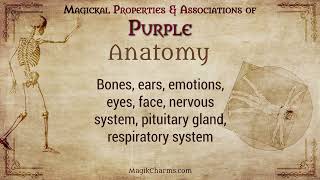 Purple Color Properties, Magickal Uses, and Metaphysical Associations in #Witchcraft