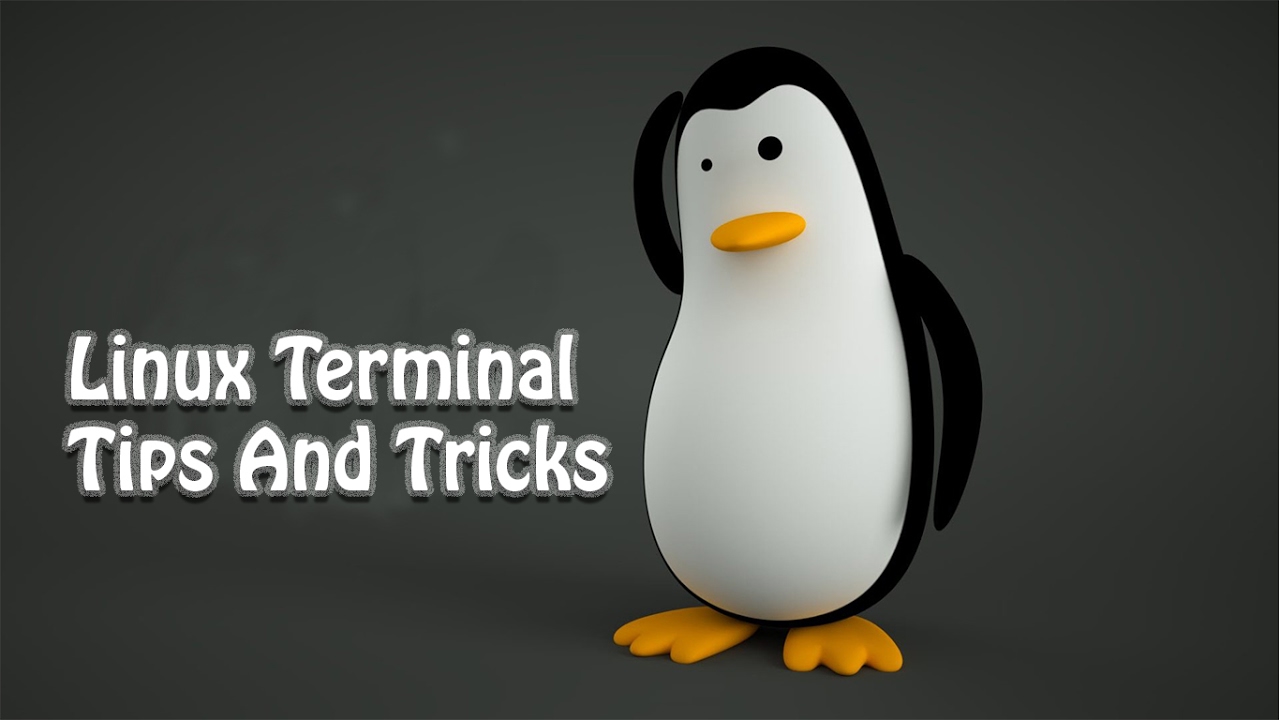 5 Linux Commands That You Must Know - YouTube