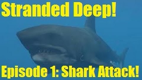 STRANDED DEEP! EPISODE 1: SHARK ATTACK!